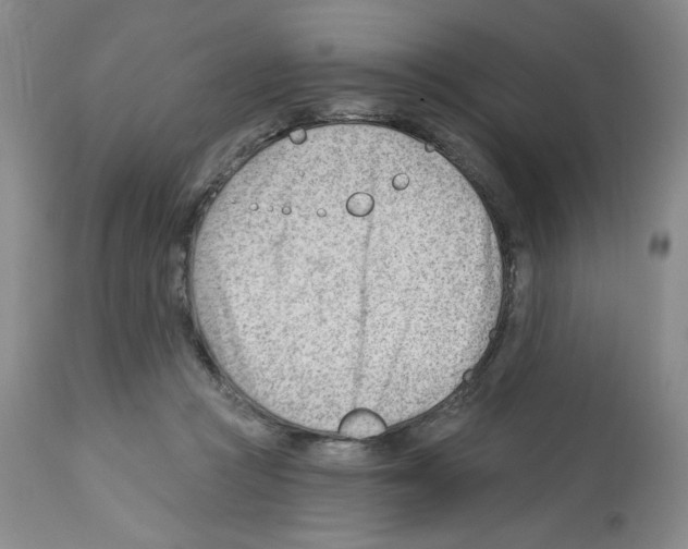 X0000112740361200910011226