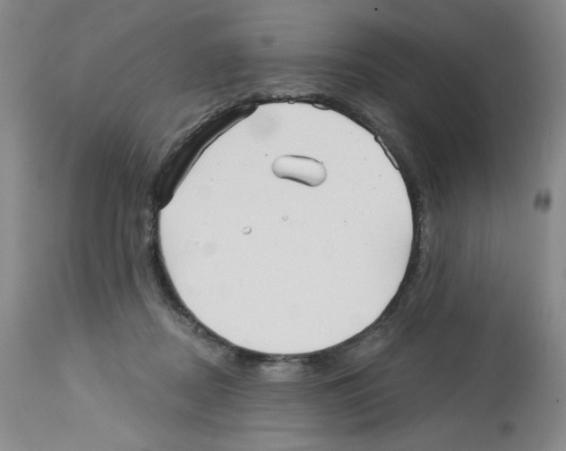 X0000112740362200910011226