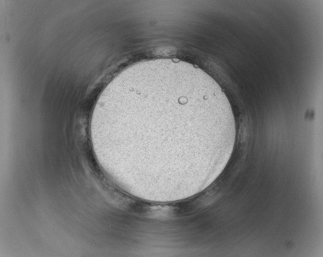 X0000112740363200910011226