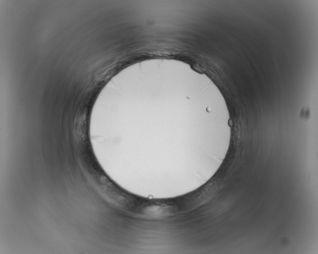 X0000112740364200910011226