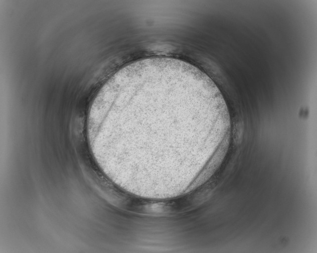 X0000112740365200910011226