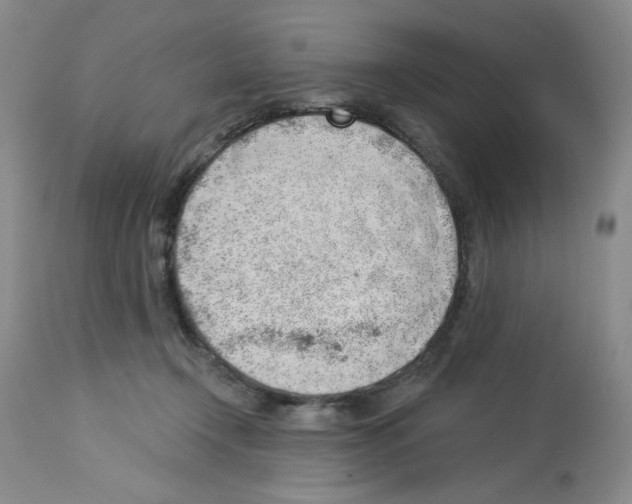 X0000112740366200910011226