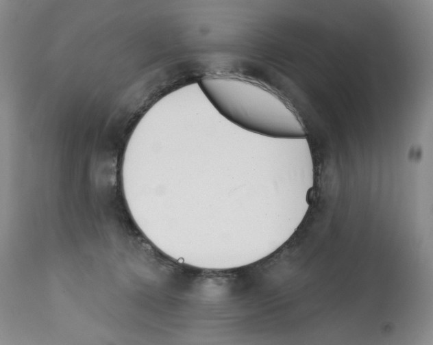 X0000112740368200910011226