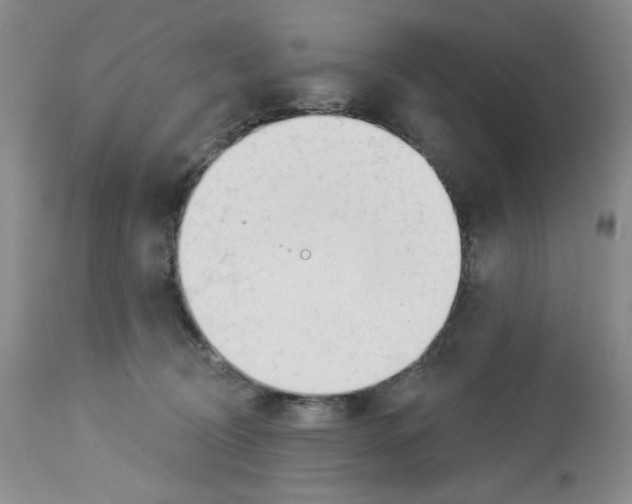 X0000112740370200910011226