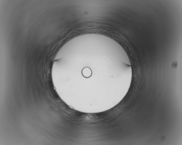 X0000112740372200910011226