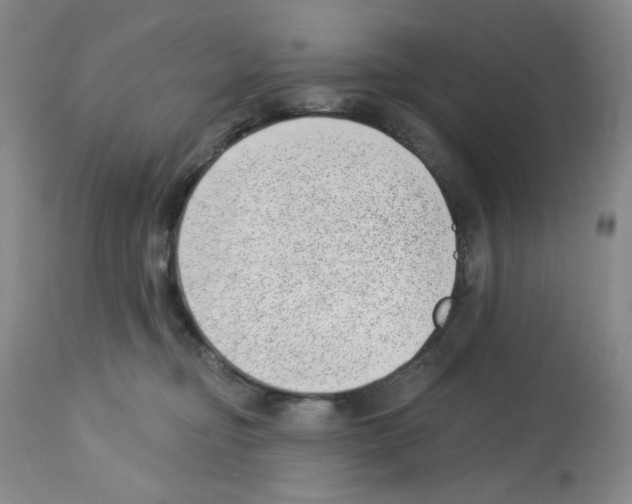 X0000112740374200910011226