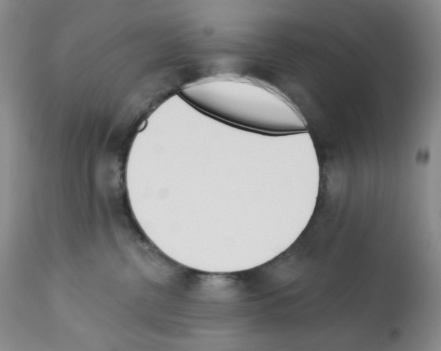 X0000112740380200910011226