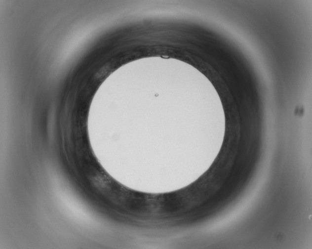 X0000112740382200910011226