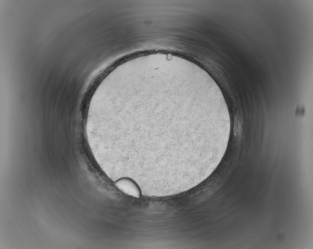 X0000112740388200910011226