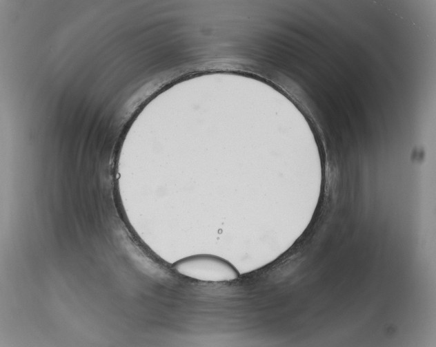 X0000112740389200910011226