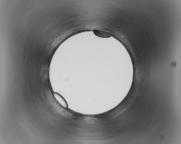 X0000112740393200910011226