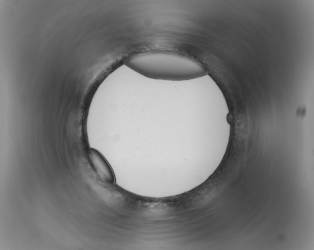 X0000112740395200910011225