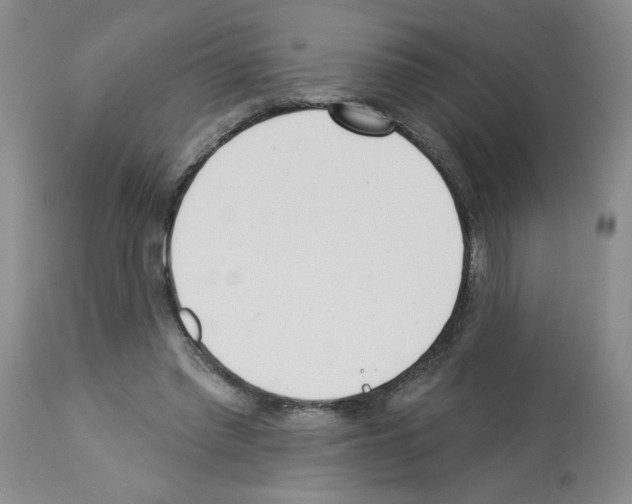 X0000112740397200910011225