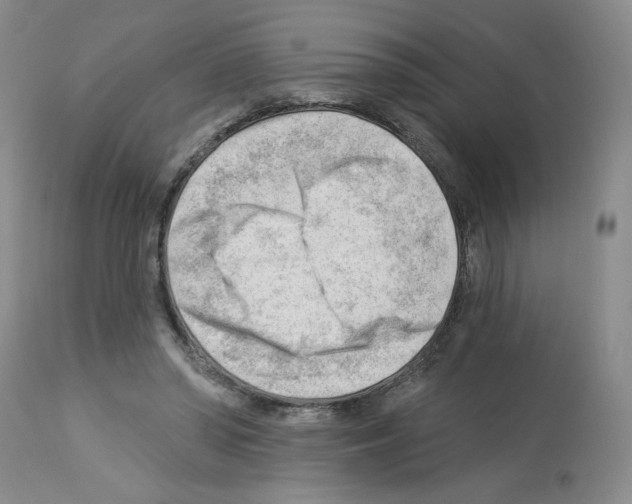 X0000112740398200910011225