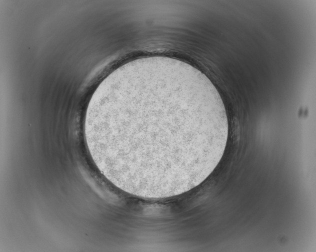 X0000112740400200910011225