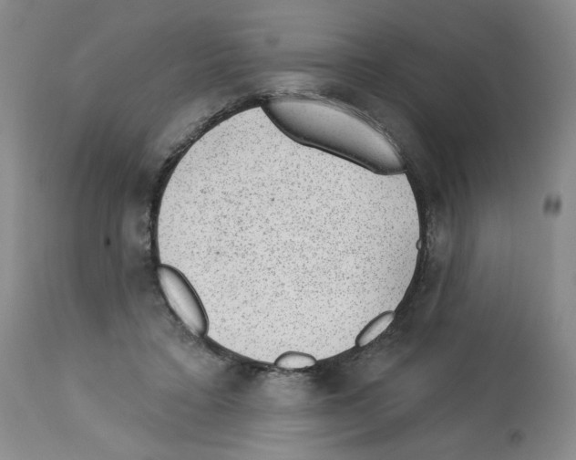 X0000112740403200910011225