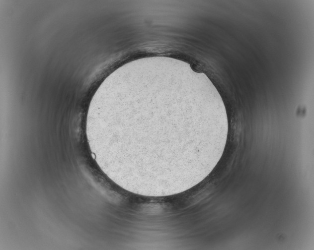 X0000112740404200910011225