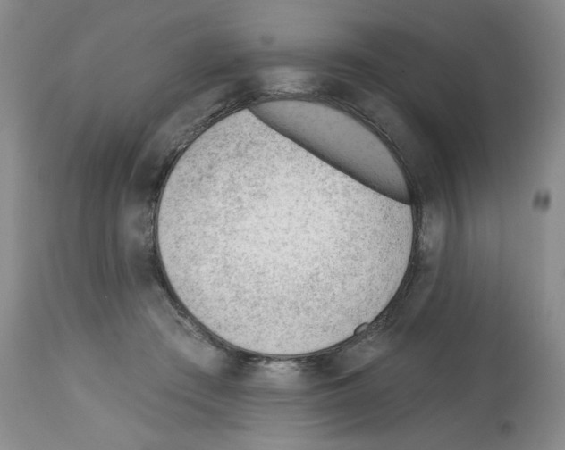 X0000112740409200910011225