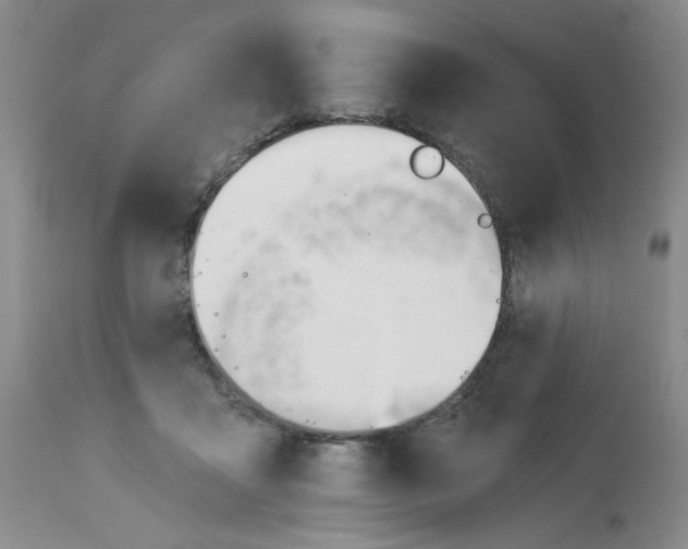 X0000112740411200910011225