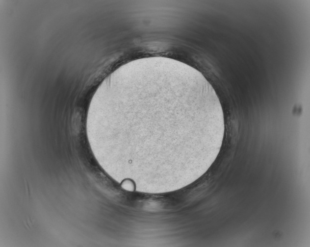 X0000112740412200910011225