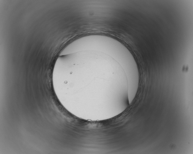 X0000112740415200910011225