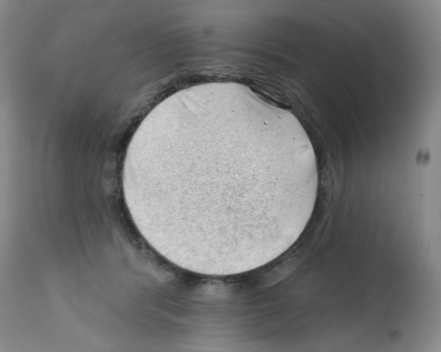 X0000112740416200910011225