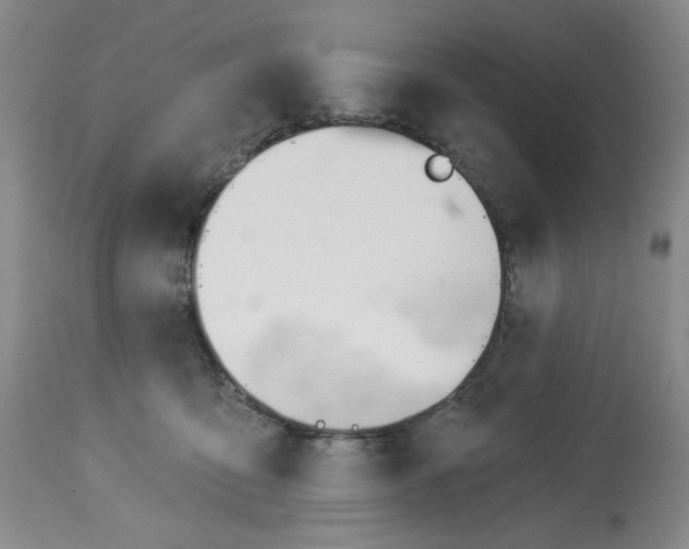 X0000112740419200910011225