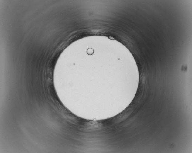 X0000112740421200910011225