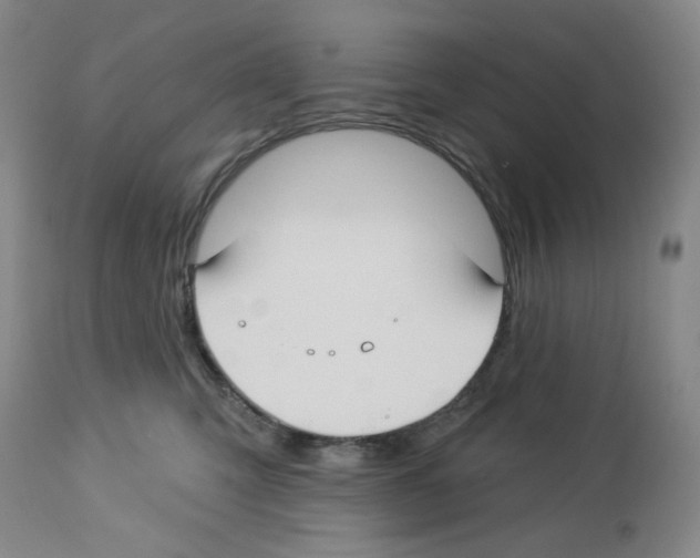 X0000112740423200910011225