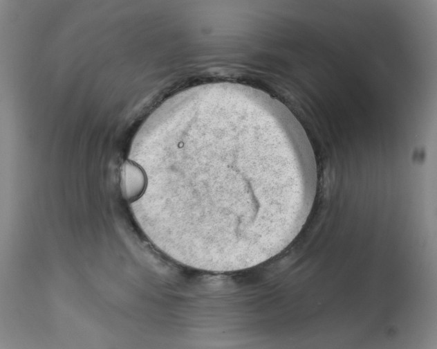 X0000112740424200910011225