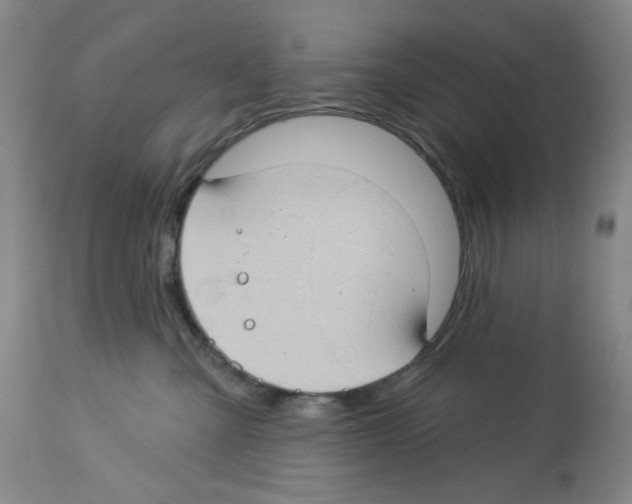 X0000112740427200910011225