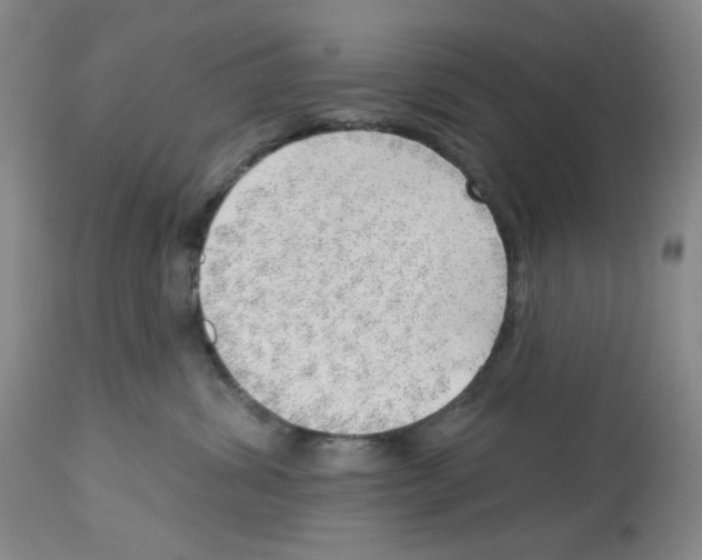 X0000112740428200910011225