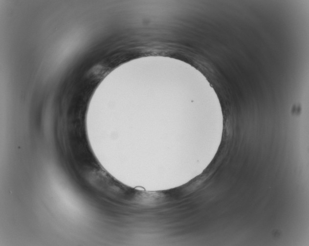 X0000112740429200910011225