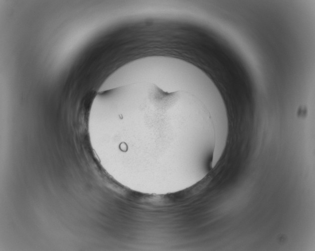 X0000112740431200910011225