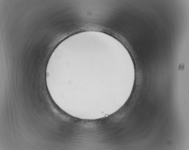 X0000112740433200910011224