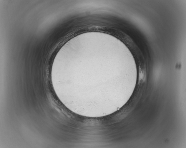 X0000112740435200910011224