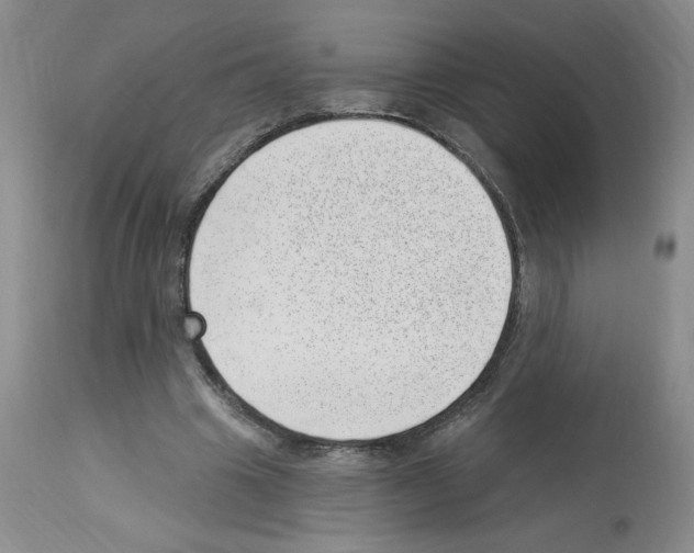 X0000112740441200910011224