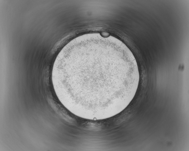 X0000112740442200910011224