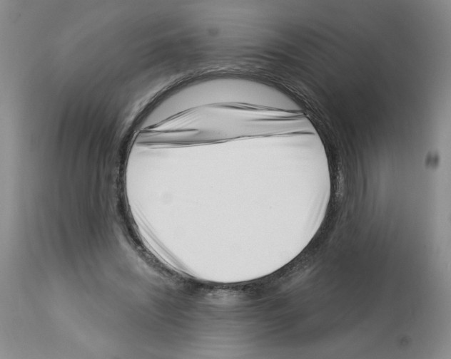 X0000112740444200910011224