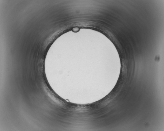 X0000112740445200910011224