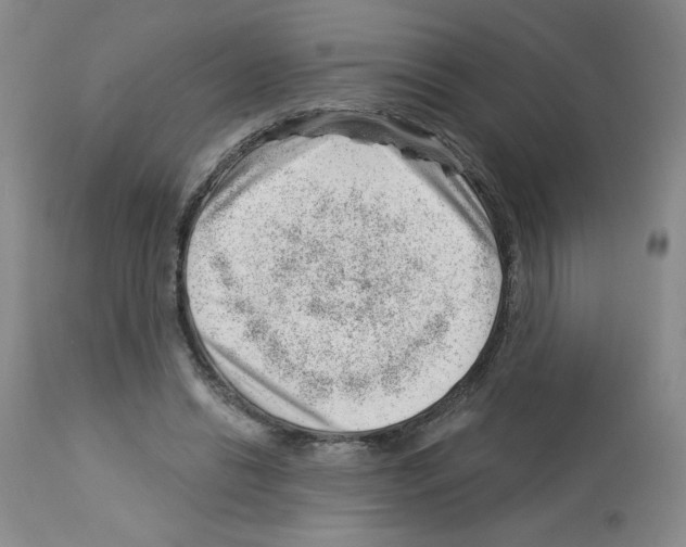 X0000112740446200910011224