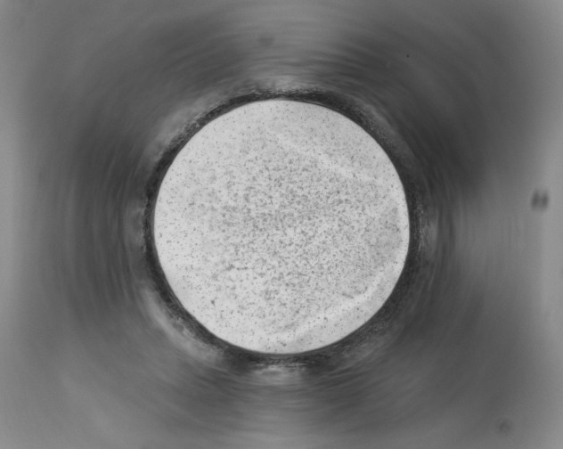 X0000112740447200910011224