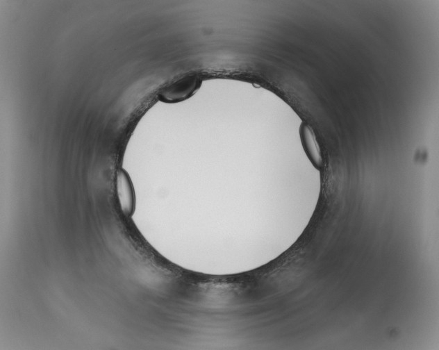 X0000112740448200910011224