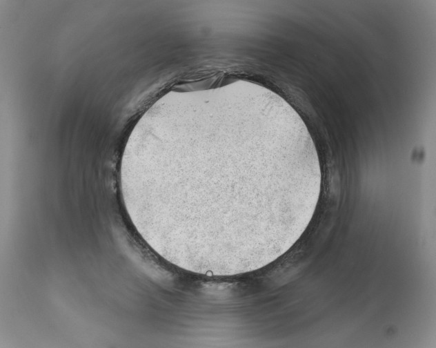 X0000112740450200910011225