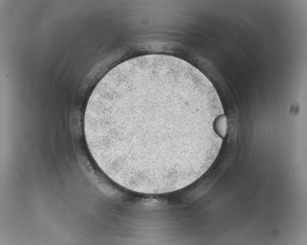 X0000112740453200910011225