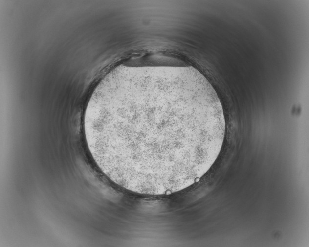 X0000112740454200910011225