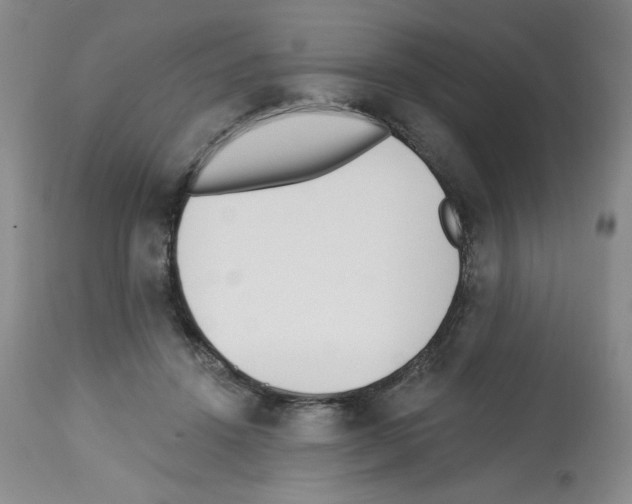 X0000112740456200910011225