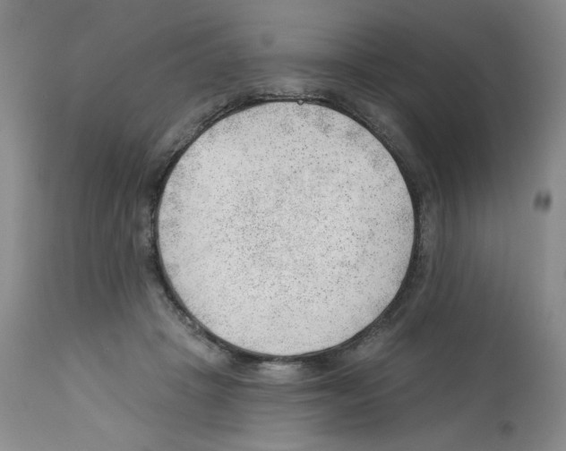 X0000112740457200910011225