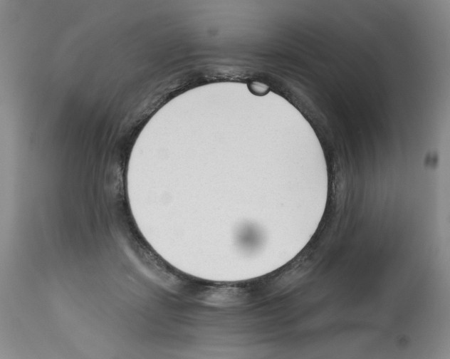 X0000112740459200910011225