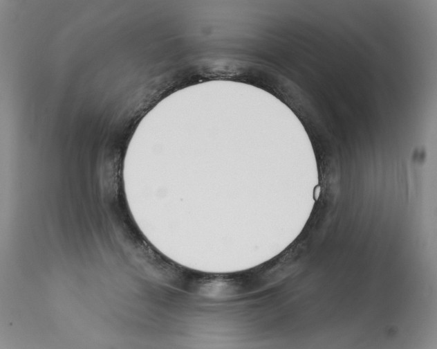 X0000112740460200910011225